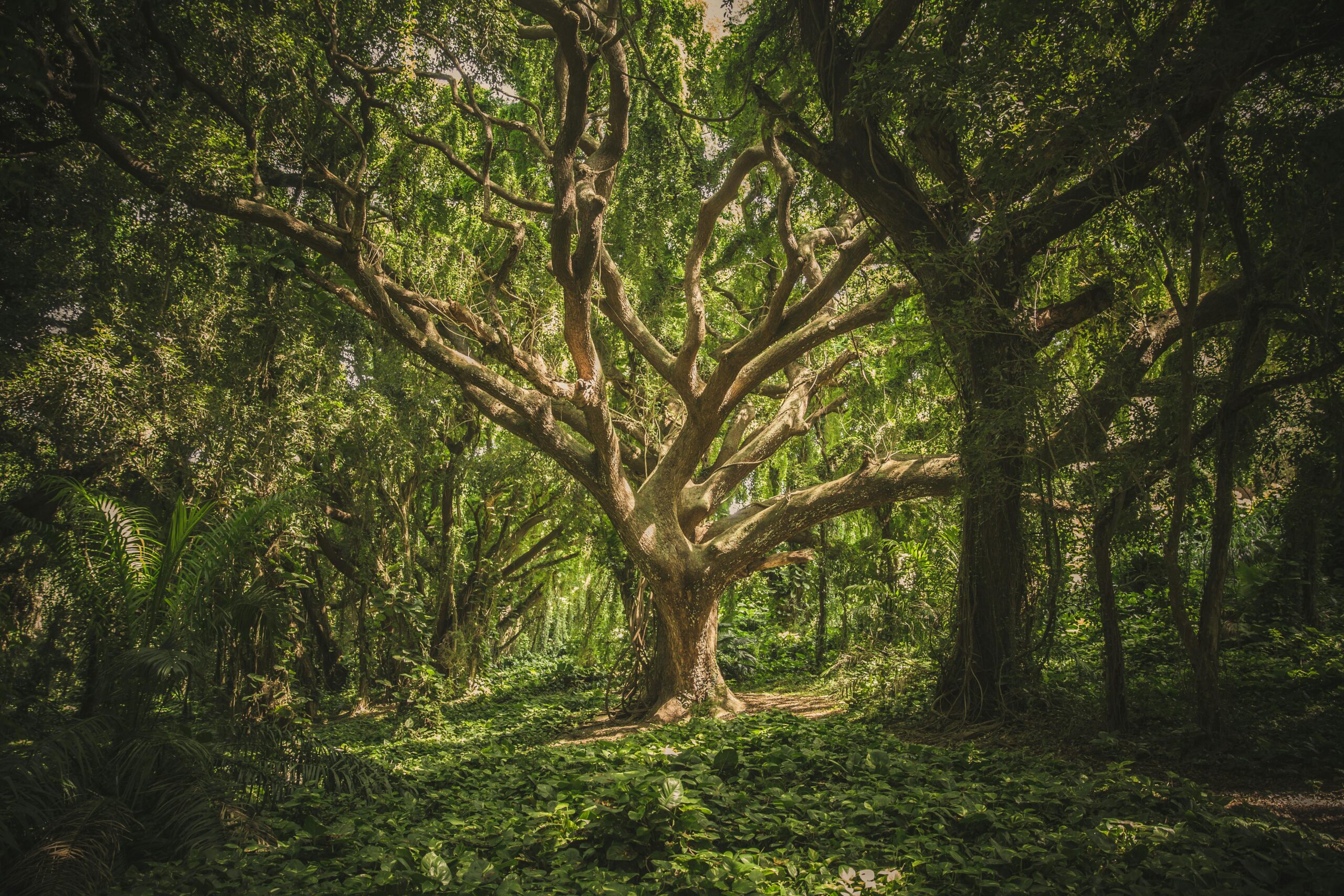 How ADHD Can Be a Source of Strength